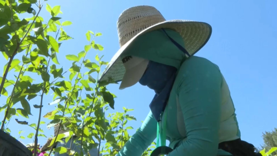 Трамп мигранттарға жеңілдік жасауға ниетті