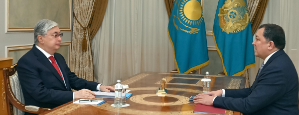 Глава государства принял акимов нескольких областей