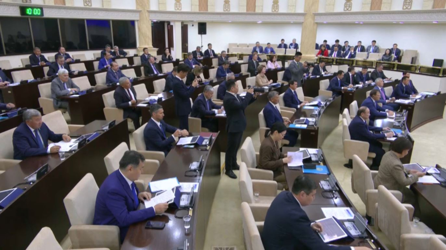 Сенат Салық кодексін Мәжіліске қайтаруды ұсынды