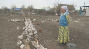«Ауыл аманаты»: ₸5 млн на бизнес получают жители Актюбинской области
