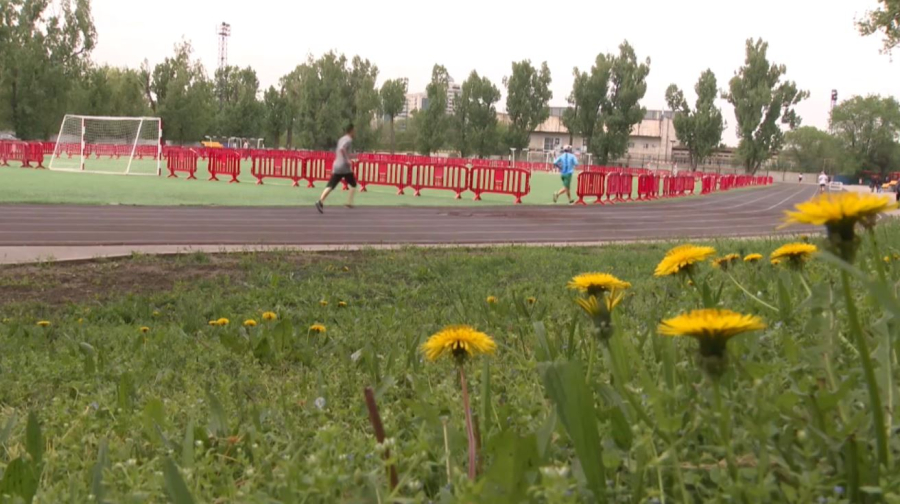 Желаяқтар Сахараны бағындырды