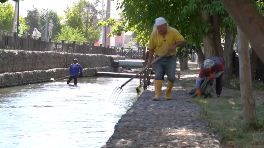 Реку Кошкар-ата очистили от мусора в Шымкенте