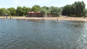 МЧС призывает соблюдать правила безопасности на воде