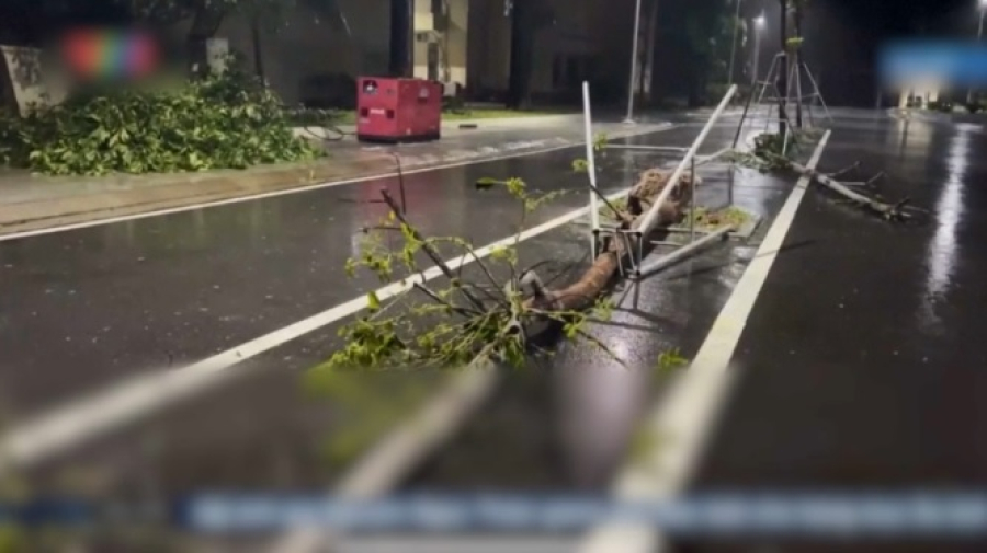 Число жертв тайфуна «Буалой» во Вьетнаме превысило 50