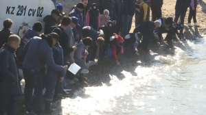 50 тысяч мальков выпустили в Капшагайское водохранилище