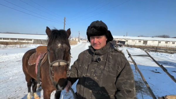 ШҚО-да 70-тен аса ветеринар жетіспейді