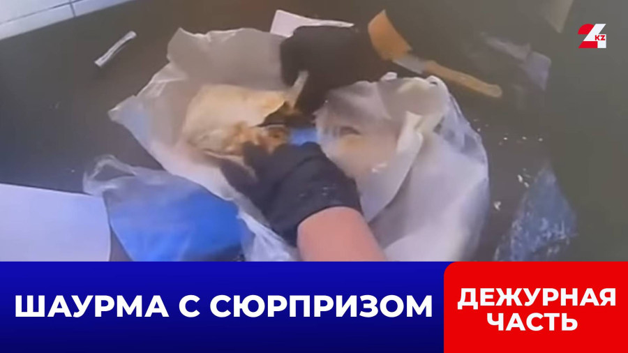 Секретный ингредиент: в СИЗО пытались передать шаурму с запрещённой «начинкой»