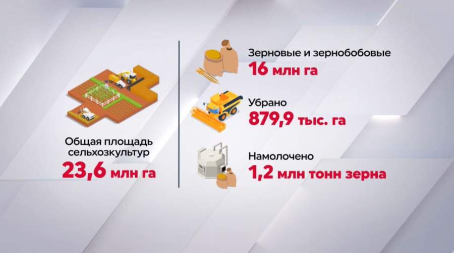 1,2 млн тонн зерна намолотили в Казахстане