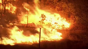 Австралию вновь охватили лесные пожары