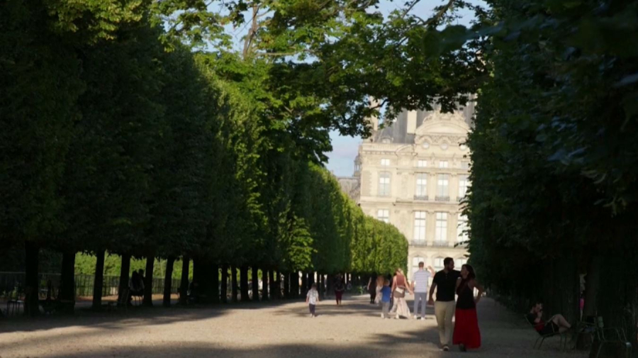 Әлем кибералаяқтықпен қалай күреседі?