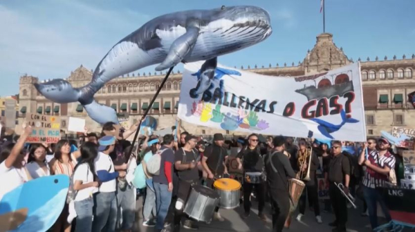 Кемеден китке қауіп көп