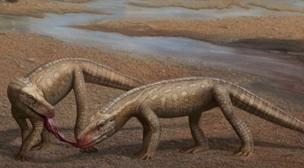 Окаменелости древней рептилии нашли в Бразилии