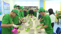 Алматы облысында 340 мыңнан аса оқушы ағаш тұқымын екті
