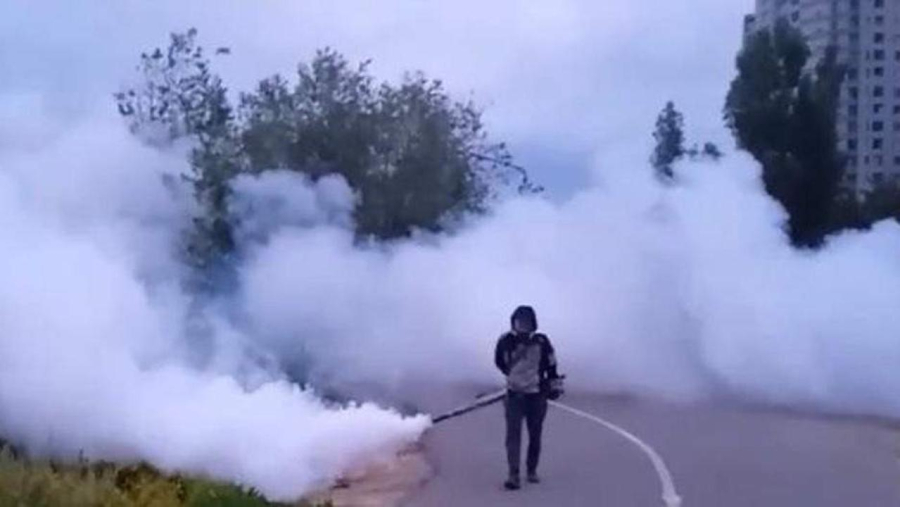 Борьба с комарами и мошками началась в Астане