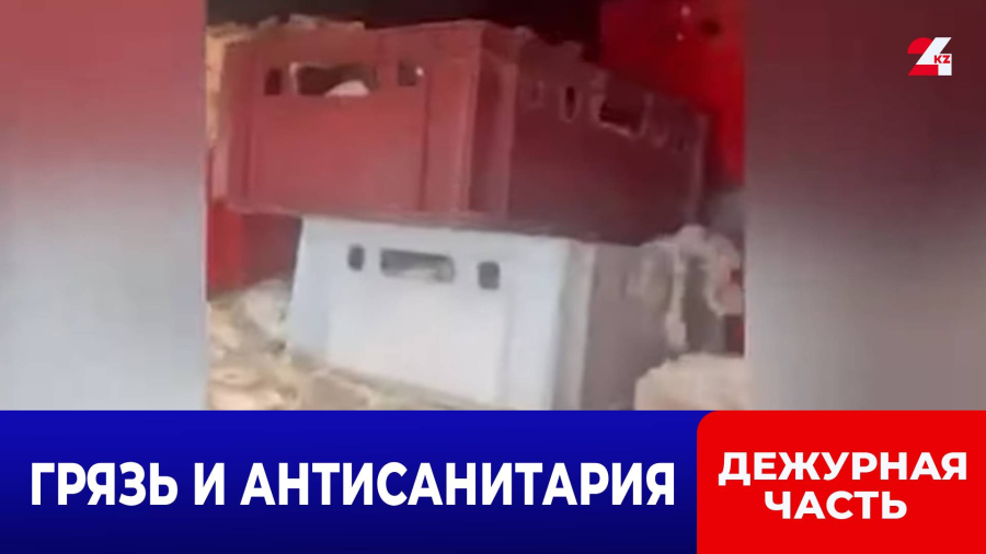 Подпольный мясной цех работал в Астане