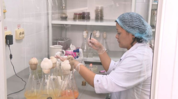 83 млрд субсидиями выделили фермерам в Казахстане на закуп минеральных удобрений