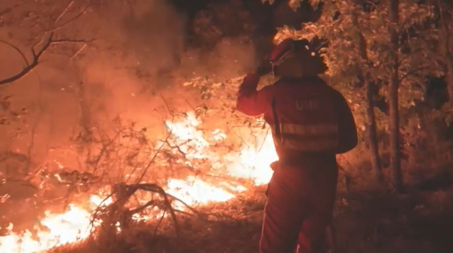 Лесные пожары бушуют в Южной Европе