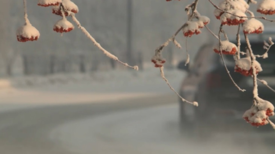 Какая погода ожидает казахстанцев