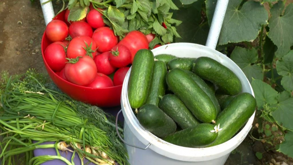 «Ауыл аманаты»: 400 проектов профинансировали в Кызылординской области