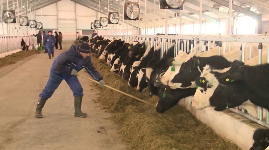 Елімізде кей өнімді экспорттауға тыйым салынды