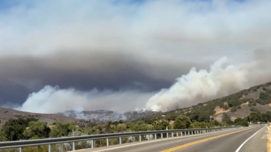 В Калифорнии огнем охвачено 20 тысяч гектаров леса