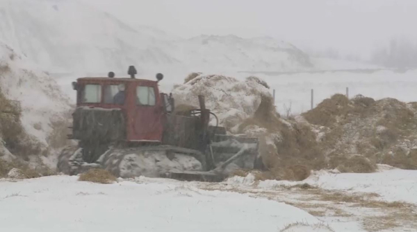 Ақтөбе облысында ауыл шаруашылығы саласының мамандары тапшы