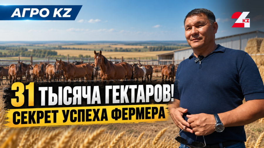 Образцовое хозяйство Руслана Искакова в селе Нуресиль