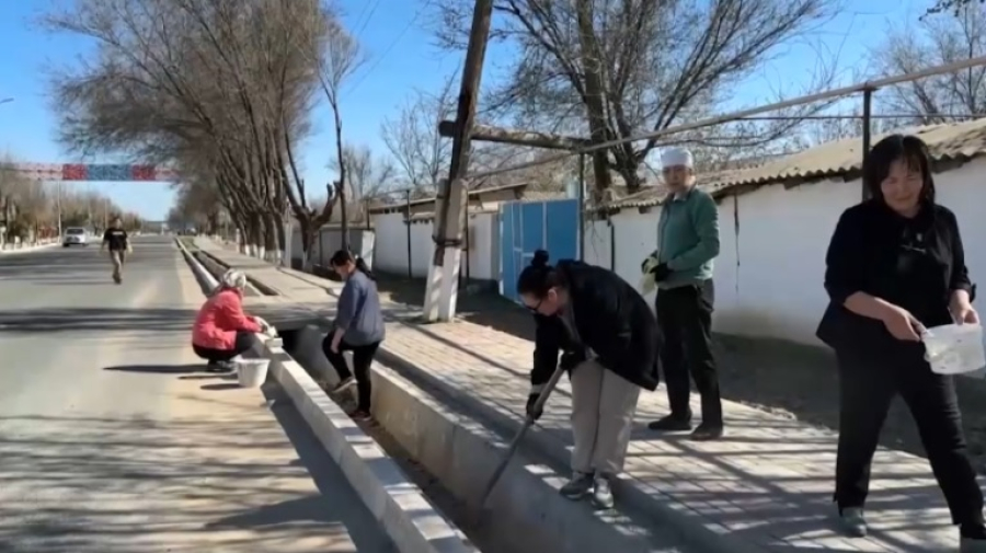 Масштабный субботник провели в Туркестанской области