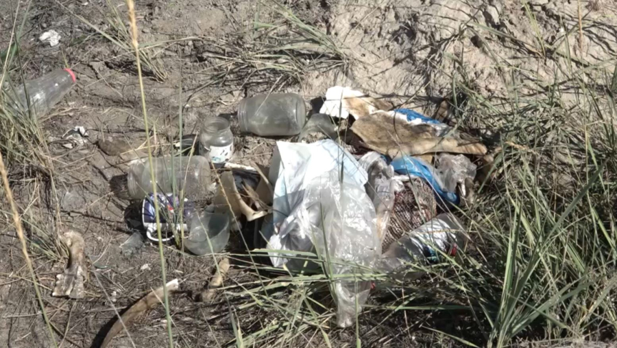 Кеңгір көлінің жағалауы тазартылды