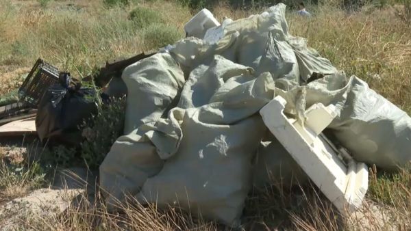 Ақмола облысында «Таза Қазақстан» акциясы жалғасып жатыр