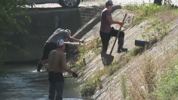 Шымкентте ірі магистральді каналдың бойы қоқыстан тазартылды