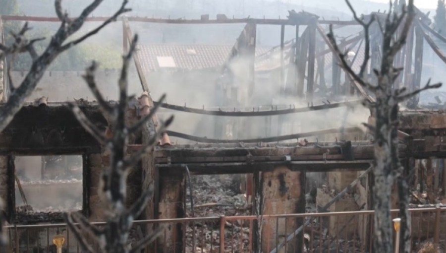 Два человека погибли из-за лесных пожаров на Кипре