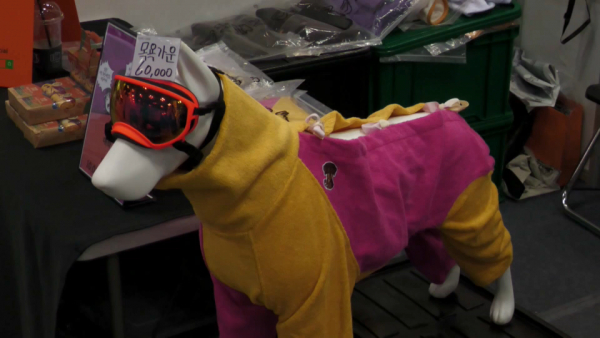 Парная одежда и памперсы: товары для кошек и собак набирают популярность в Корее