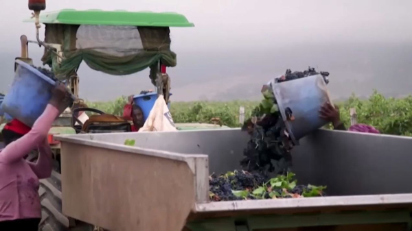 США прекратили финансовую помощь ЮАР