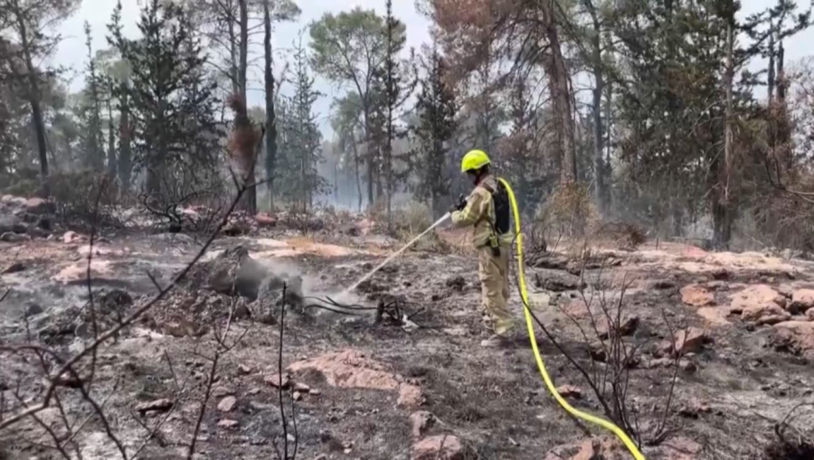 Израильдегі орман өрті бақылауға алынды