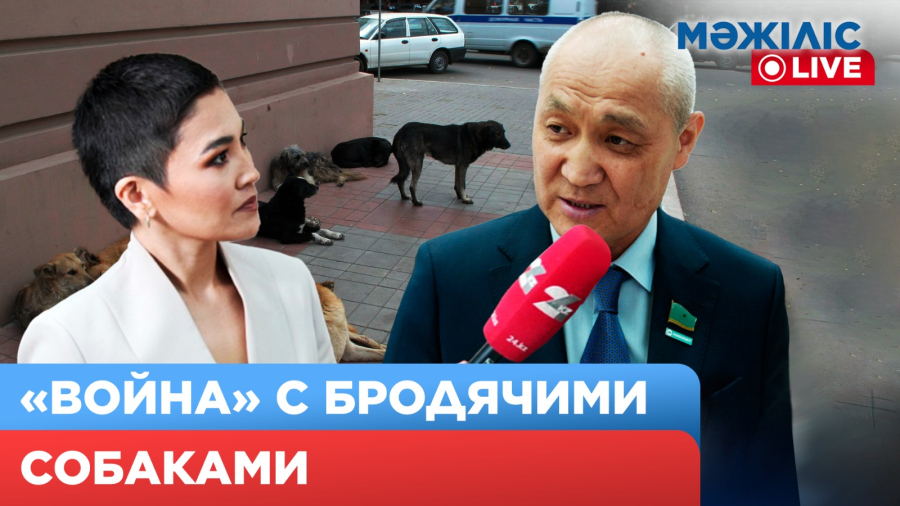 Пять дней до эвтаназии. Новые поправки о животных | Мәжіліс Live