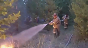 Пожар в резервате «Ертіс орманы»: тушение ведут круглосуточно