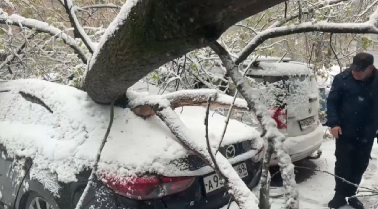 Москву накрыл сильный снегопад