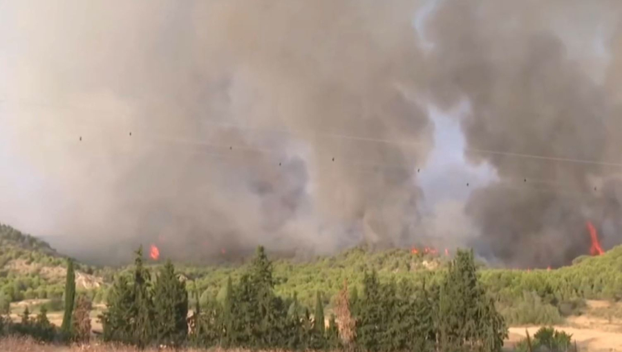 Испанияда орман өрті басылмай тұр