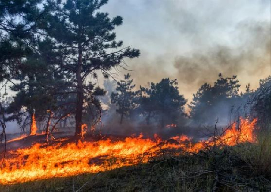 Пятый класс пожарной опасности объявили в ряде регионов РК