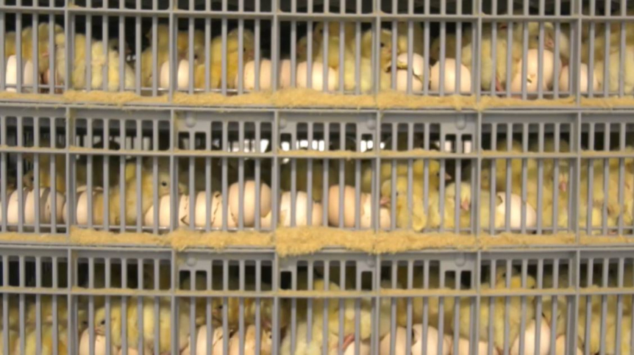 Кәсіпкерлерге 23 млрд теңге жеңілдетілген несие берілді