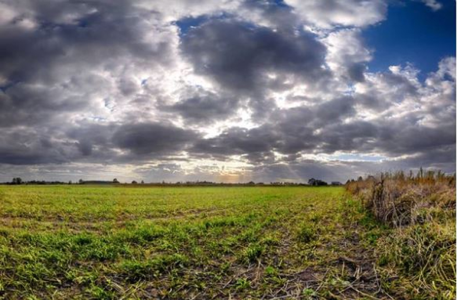 В Казахстане ожидается неустойчивая погода