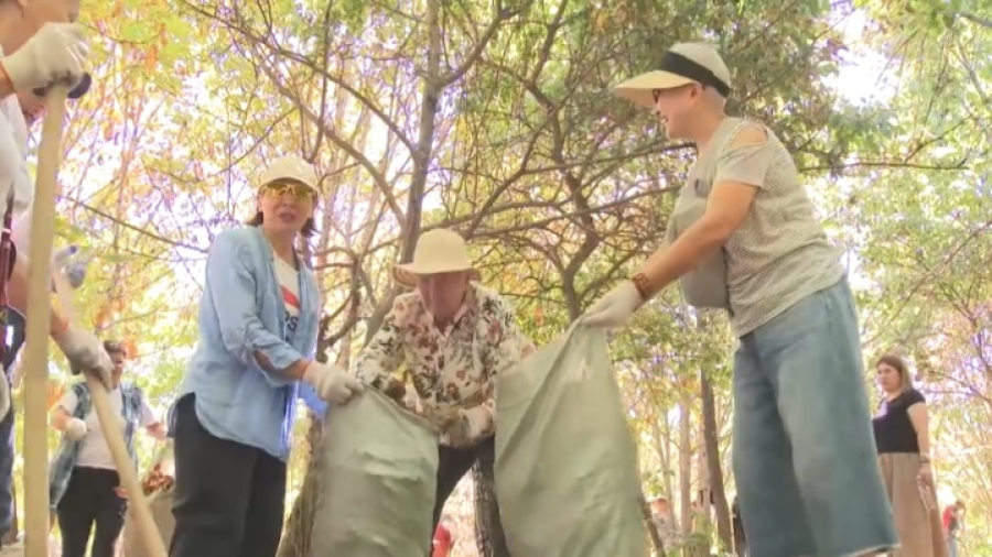«Таза Қазақстан»: экоактивисты очистили парк «Южный» в Алматы