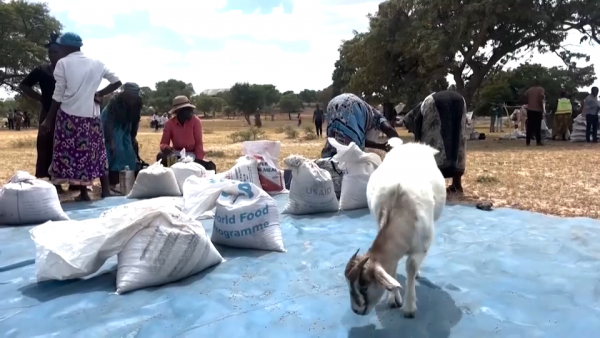 20 млн человек голодают на юге Африки