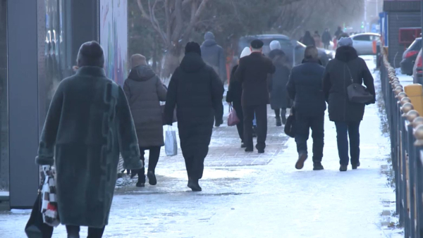 Блогерлер ₸73 млн салық төледі