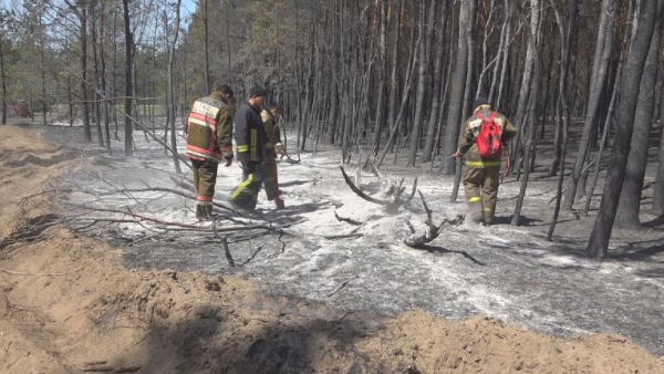 Основной очаг лесного пожара в области Абай локализовали