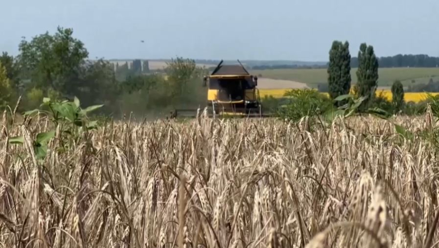 Әлемде ауыл шаруашылығы өнімдері қымбаттады