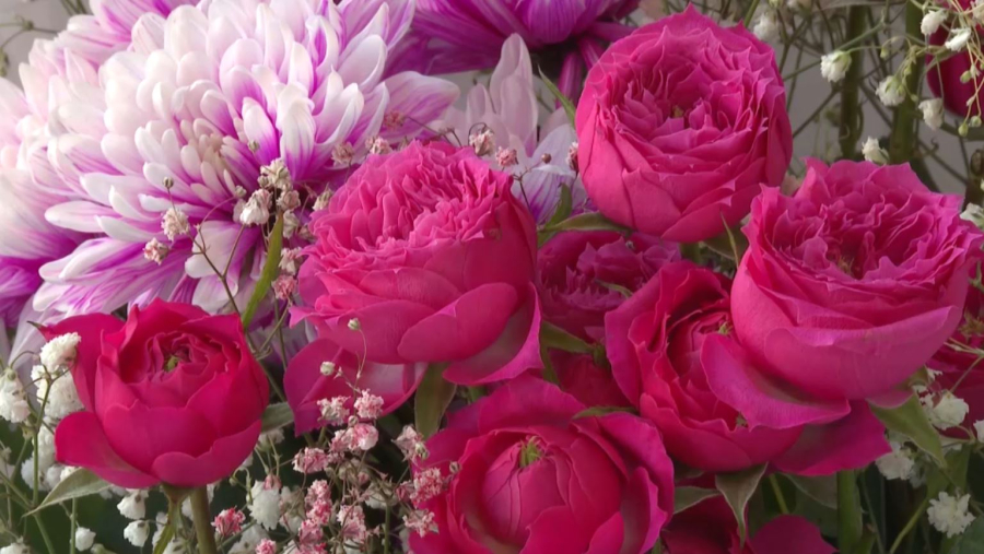 Қазақстан гүл импортын қысқартты