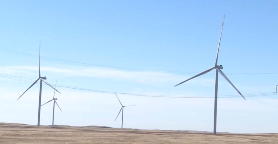 Соглашение о партнёрстве в области зеленой энергетики одобрили депутаты Сената