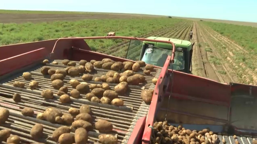 Уборка урожая началась в Алматинской области